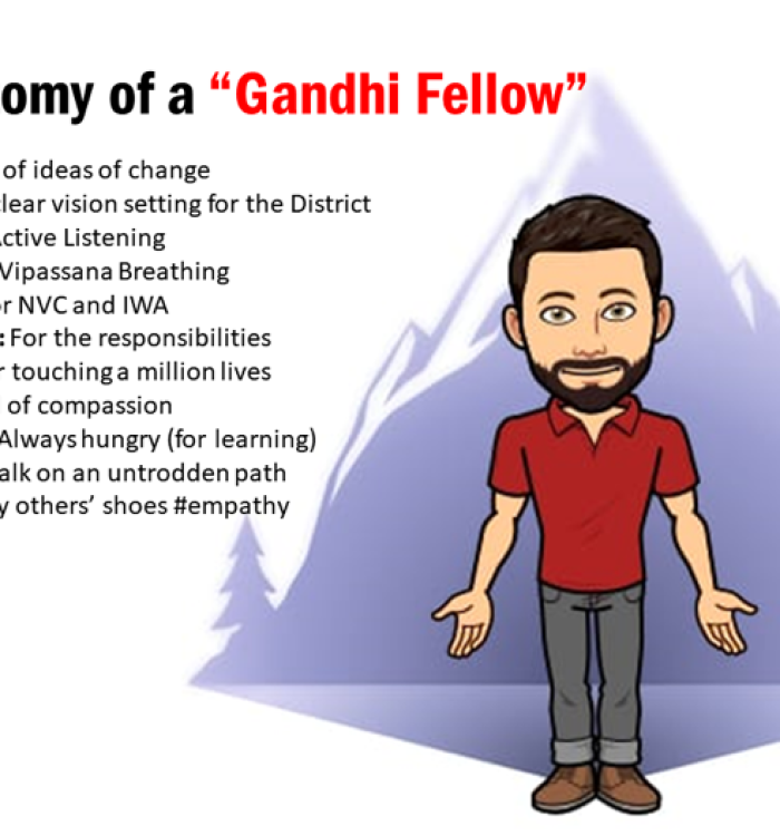 Gandhi Fellowship के कारनामे